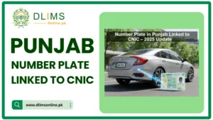 Punjab CNIC linked number plate system update 2025 showing car and Pakistan CNIC card by DLIMS Online
