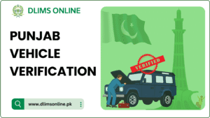 Punjab vehicle verification online — verify vehicle registration & details on DLIMS Online