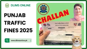 Punjab Traffic Fines 2025 dlimsonline.pk